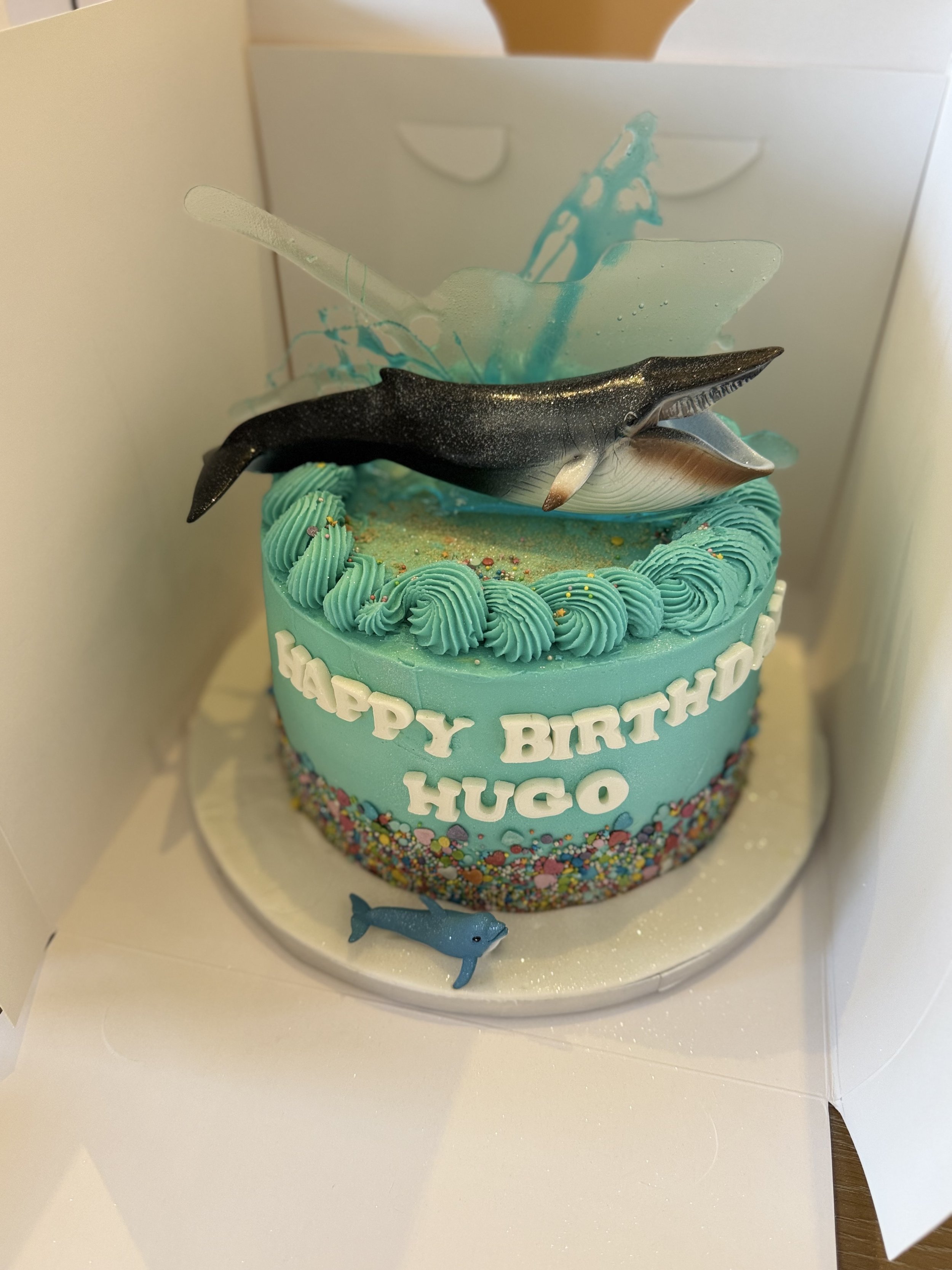 Cake photo IMG 5513
