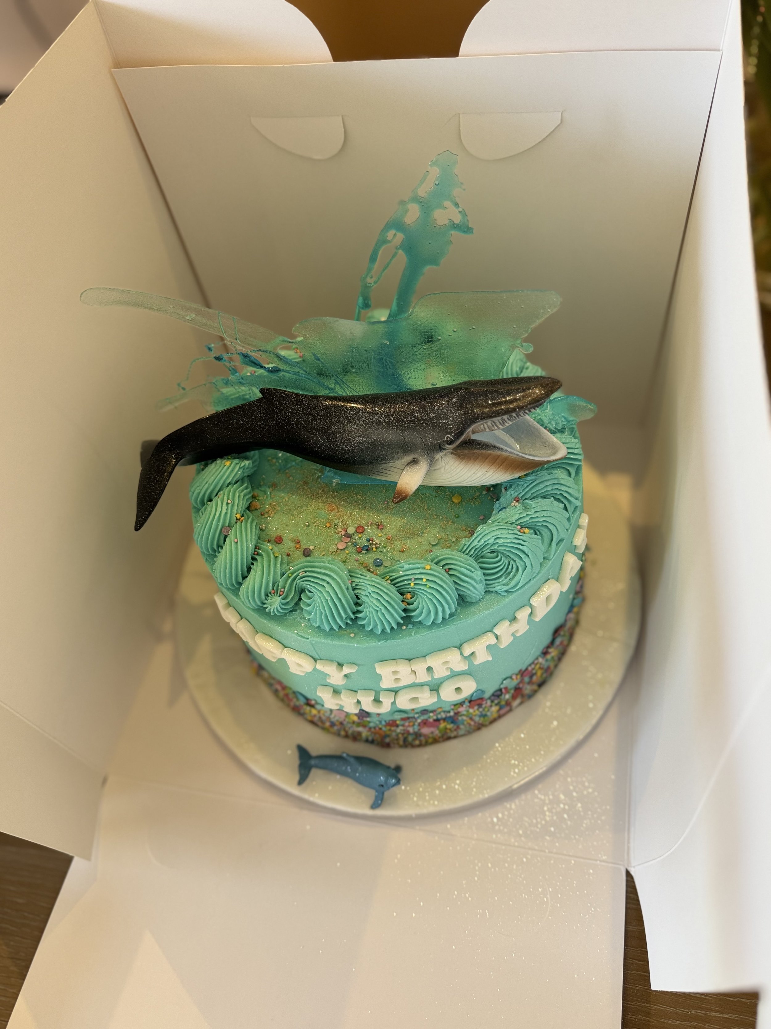 Cake photo IMG 5515